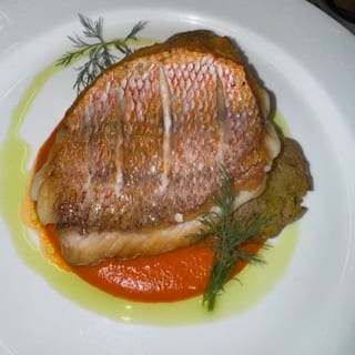 Red Snapper Fillet